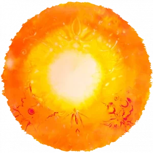 Logo-Naturheilpraxis-512x512